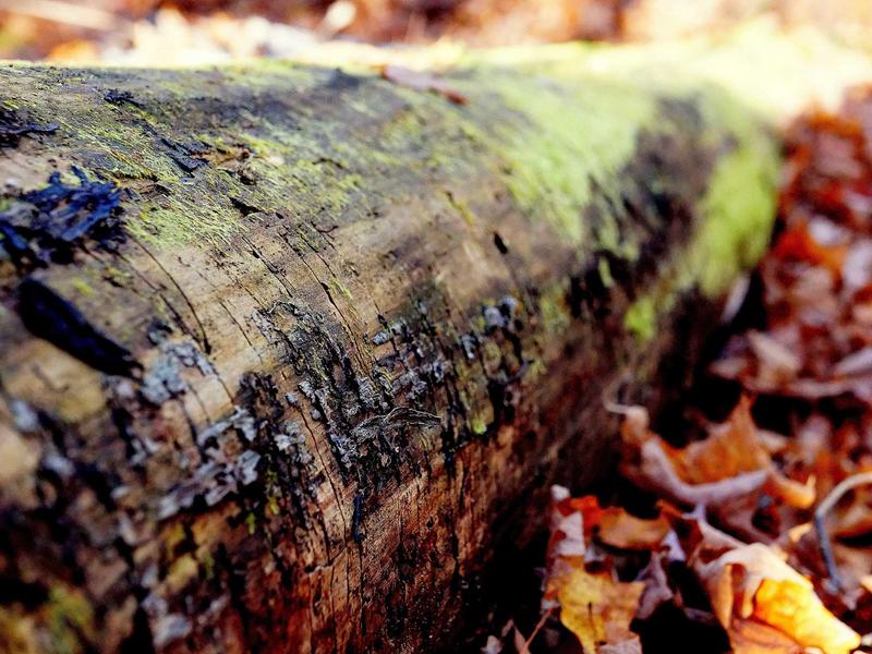 sudoku perfect score screenshot 5